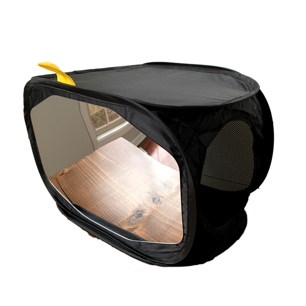 ex.t Ray Spiegel mirror box ミラーボックス 鏡 Amazon.com: EDGE Mobility System Therapy Mirror Box