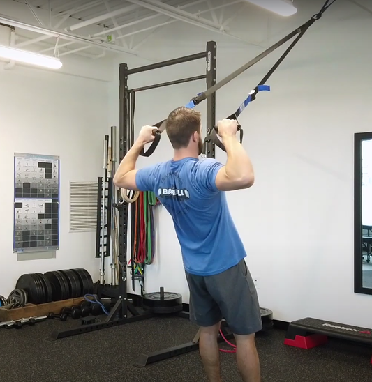 EDGE Suspension Trainer - EDGE Mobility System