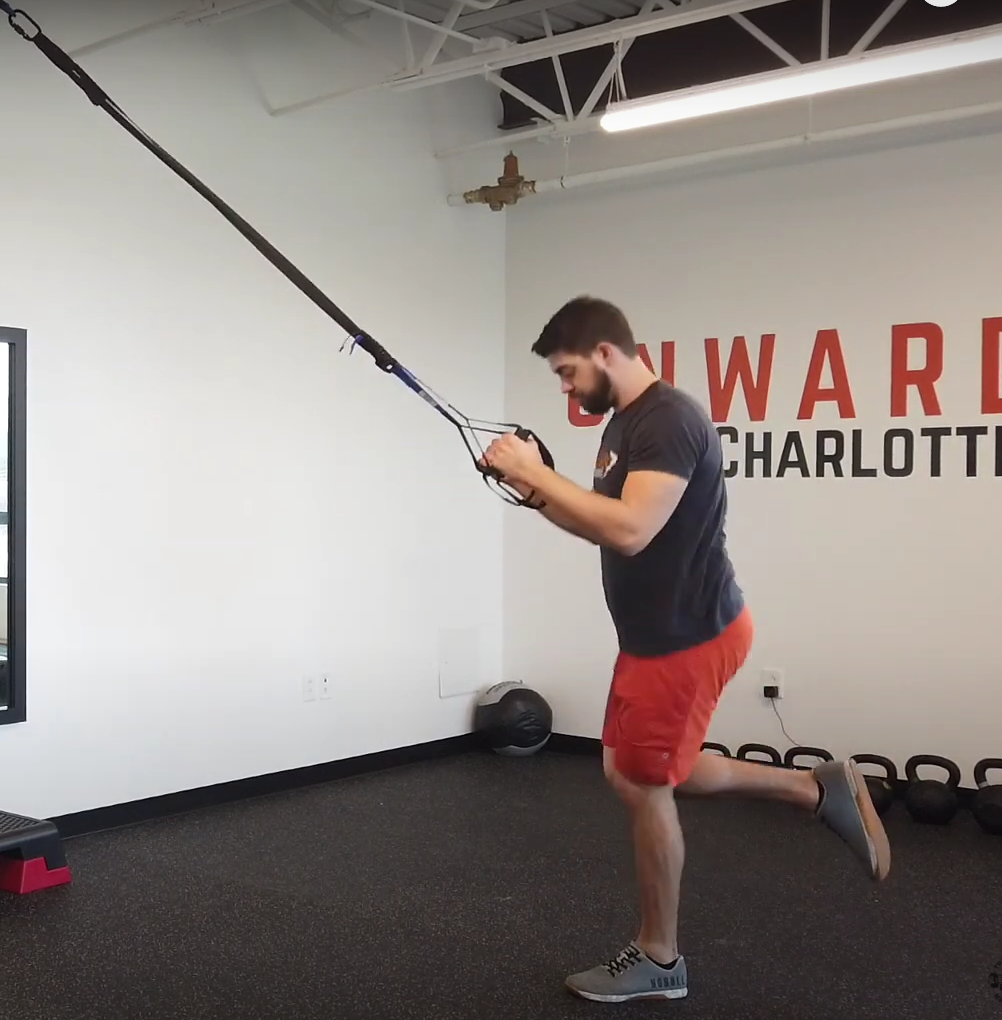 EDGE Suspension Trainer - EDGE Mobility System