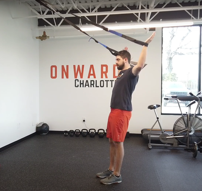 EDGE Suspension Trainer - EDGE Mobility System